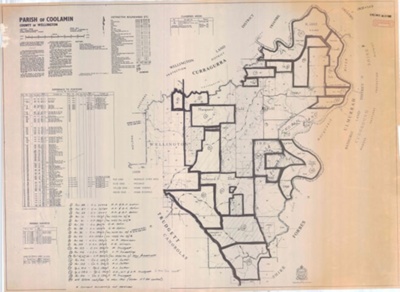 Parish map of Coolamin Parish of Wellington, 1966; 1966; OB220367