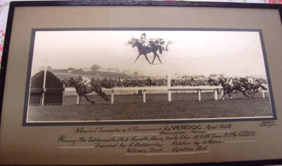 Verdoc (Race Horse); PH 1002