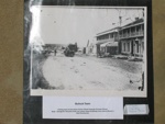 Bullock Team; Holtermann collection; PH 1305