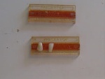 Plastic Tooth Container; Amalgamated Dental London; c1990; BC2015/45:1-2