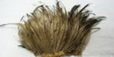 Light Horse Emu Feather Plume; OWM2015/24