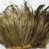 Light Horse Emu Feather Plume; OWM2015/24