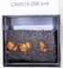 3 chafer beetles pinned to a foam mount ; Beetle; Cromwell Chafer Beetle Reserve; CR2019.038