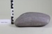 Greywacke boulder; CR2017.003.2 