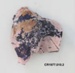 Rhodonite; CR1977.010.2