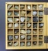 Boxed collection of rock specimens.; CR2017.009 