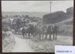 Photograph, Horse team of Will Smith, of Luggate, taken on other side of Old Cromwell Bridge; Unknown; Unknown; CR2020.038.12