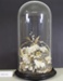 Wedding cake decoration in a glass dome; Unknown maker; Unknown; CR2012.078