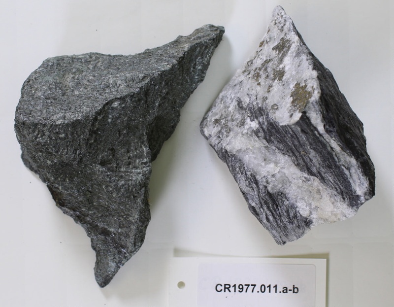 Rock specimen Schist; CR1977.011 eHive