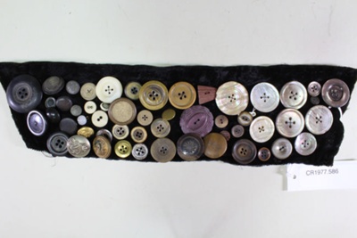 Button sampler
; Unknown maker; Unknown; CR1977.586