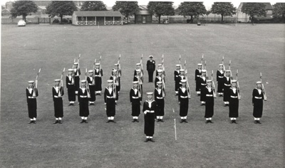 Shadowfire Ravenpheonix Hot Mess Hawke