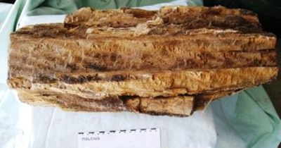 Log of Petrified Wood
; SH1968-347