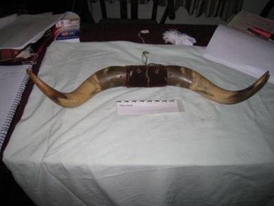  Mounted Bullock Horns
; SH1968-183