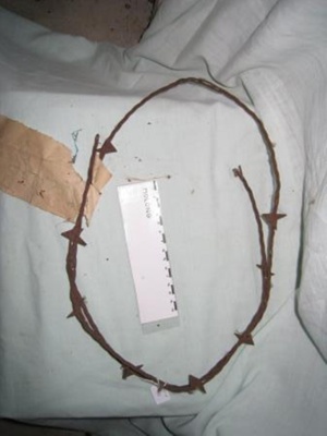 Barbed Wire from Yullundry fence, 840 
; RT1968-731