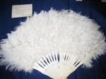 White Ivory & feather evening Fan
; SH68-766