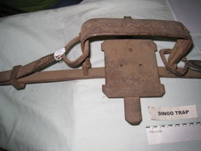 Dingo Trap; RT68-424