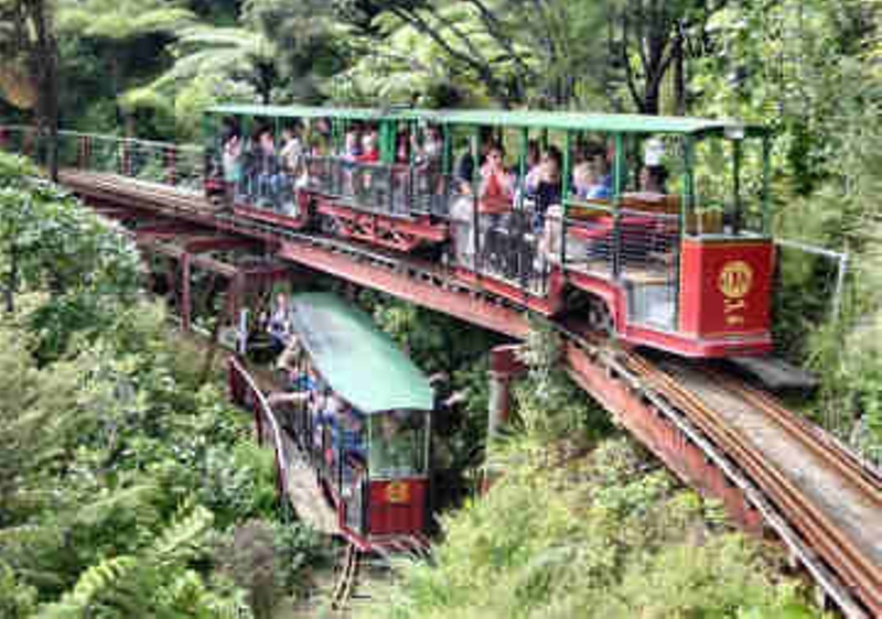 Driving Creek Railway and Potteries