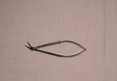 Iris Scissors; A Heiss; CH22/019