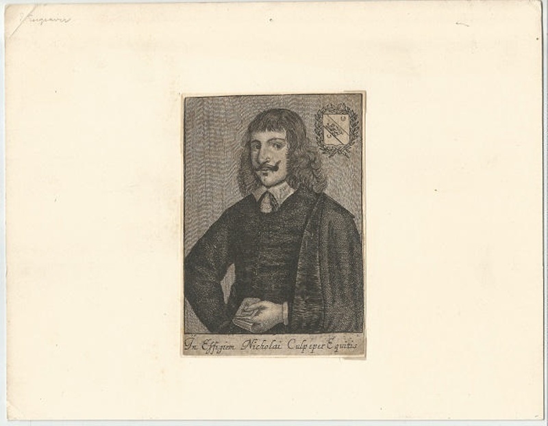 Engraved Print: Portrait of Nicholas Culpeper; 1825; 1998.004 | eHive