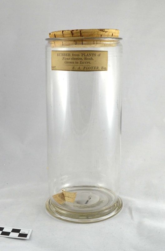 Large Clear Glass Plant Specimen Jar with Cork Closure and Label