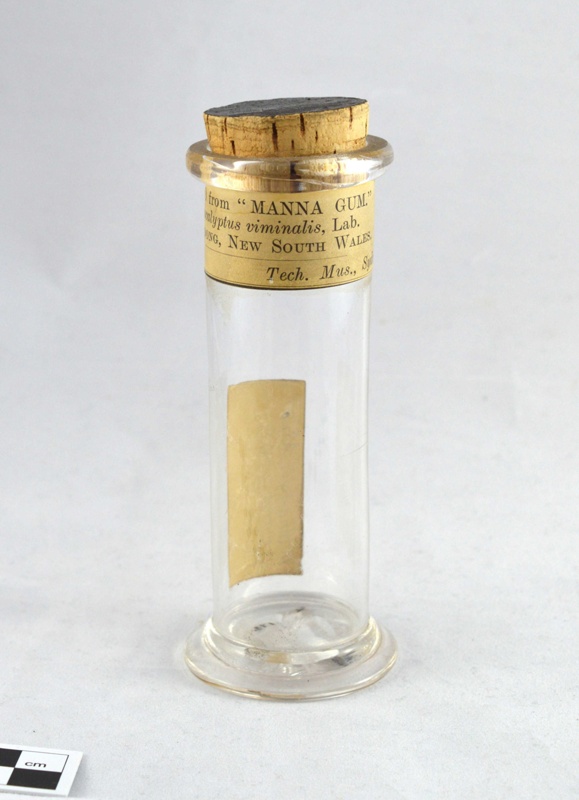 Clear Glass Plant Specimen Jar with Matching Closure and Paper Label