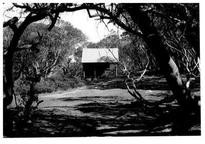 Bluff Spur Hut on Mt. Stirling in 2002; Klaus Hueneke; AP 002291 | eHive