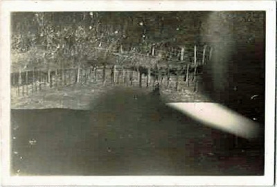 Photo, Fencing on paddock, Waitaanga; 1939; RAP2020.0185