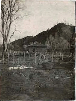 Photo, House in paddock, hills in background, Ahititi; RAP2020.0182