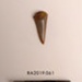 Tooth, Shark; Raven Farm, Mohakatino; RA2019.061