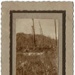 Photo, Trees, ducks on river, mounted on cardboard; RAP2020.0157