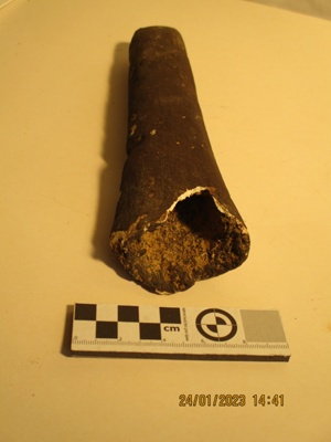 Bone, Moa leg bone; Mahoenui cavers hut Papakauri Station Awakino.; 2022.0019