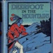 Book, Deerfoot in the Mountains; Edward S. Ellis; F-8-K-1999-12-7