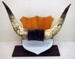 Scrimshaw Bullock Horns; Dennis Gunn; Early 20th Century; RA2016.001
