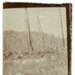 Photo, Paddock, river, dead trees, Ahititi; 1926; RAP2020.0189