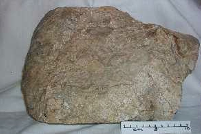 Sample of ore from North Arm Gold Mine.; N-3-0 | eHive