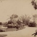 Government House Gardens, c. 1890; A-477.1