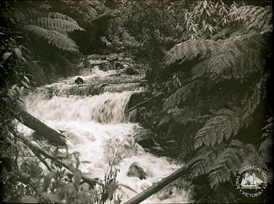 Jack's Creek, near Yan Yean; Law, Robert, 1870-1930.; June 1903; GS-ICD-41 Jack's Creek, near Yan Yean; Law, Robert, 1870-1930.; June 1903; GS-ICD-41