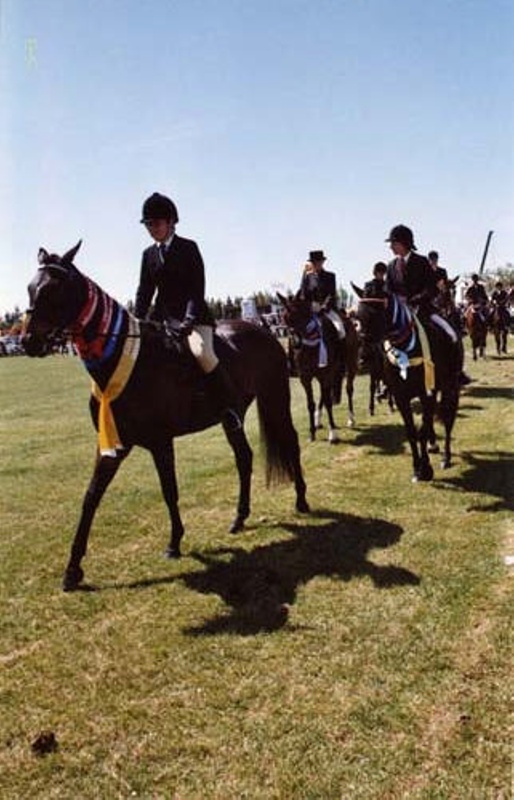 horses Ellesmere A&P Show 2004 ex Ellesmere Camera Club; EHS5919 eHive