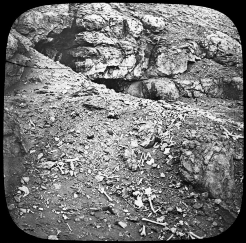 A burial cave in the east side of the Great Pyramid Hill / by Prof ...