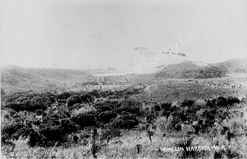 Hamelin Harbour; P82-297 | eHive