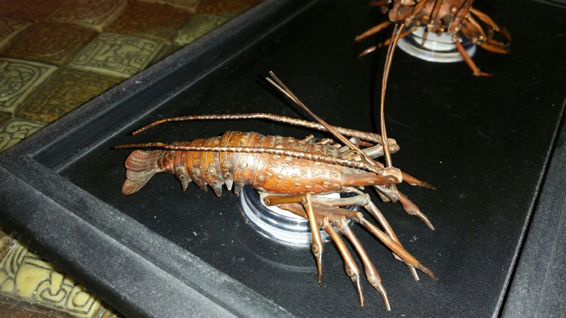 Japanese crawfish; 2016.1.11 | eHive