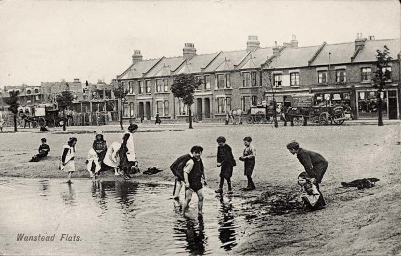 Postcard "Wanstead Flats"; ARN0280 eHive