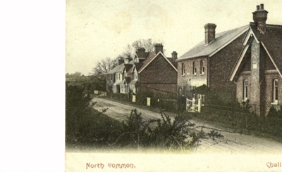 North Common, Chailey; CW.215