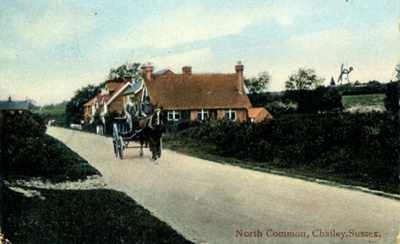 North Common, Chailey, Sussex; CW.216