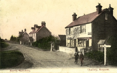 North Common, Chailey, Sussex; CW.253