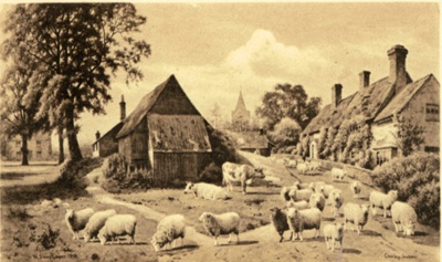 Chailey, Sussex; 1898; CW.212