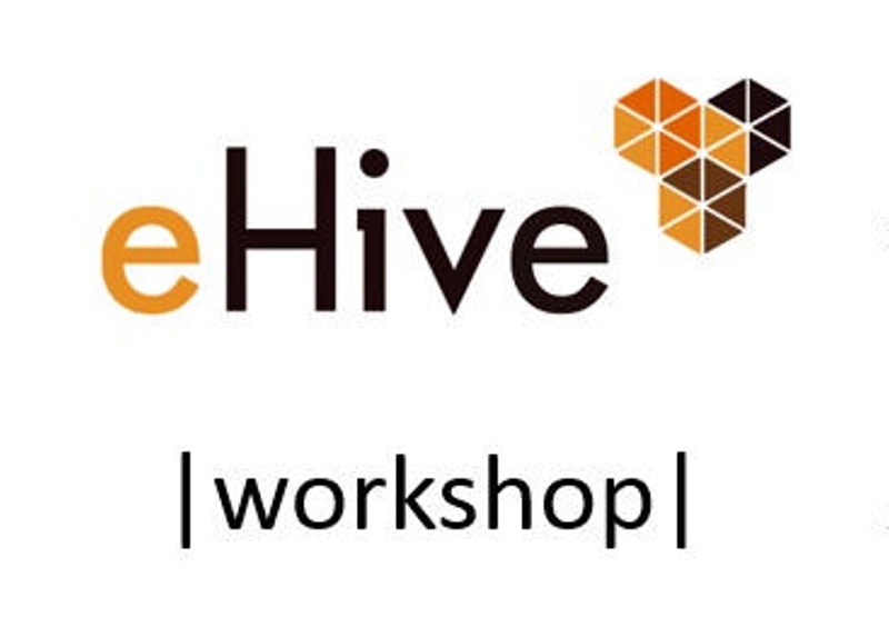 Ehive Workshop Ehive