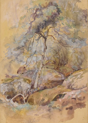 Landscape; William COLEMAN; Not dated; 1979.13