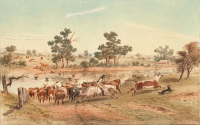 Mustering cattle; S. T. GILL; c.1870; 1986.08