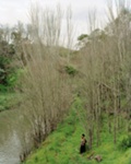 Crossing the Merri (from the Lyric Theatre series); Siri HAYES; 2003; 2004.136 © Courtesy of the artist